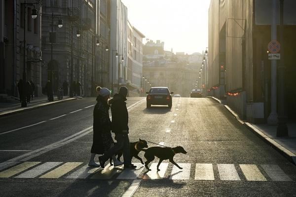 Назван самый выгодный для покупателей вид квартир в&nbsp;Москве