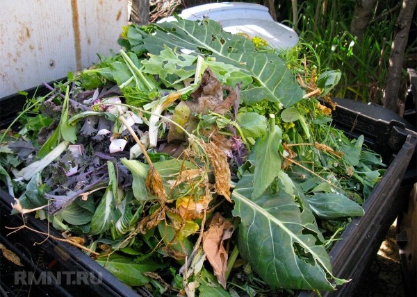 Что можно класть в компостную кучу, а что не стоит
Что можно класть в компостную кучу, а что не стоит