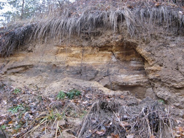 Простой фундамент для бани - Строим баню или сауну Простой фундамент для бани - Строим баню или сауну