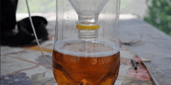 Борная кислота от тараканов