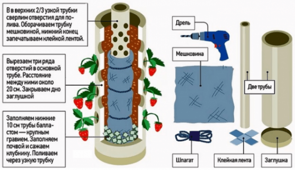 Грядки для клубники из труб своими руками: пластиковых, ПВХ, вертикальные, горизонтальные