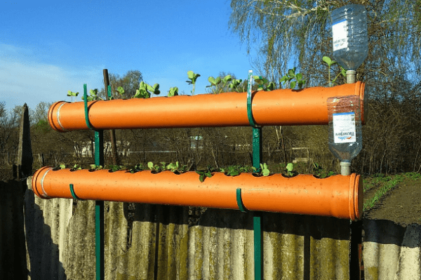 Грядки для клубники из труб своими руками: пластиковых, ПВХ, вертикальные, горизонтальные