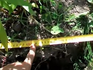 Как построить забор из профлиста своими руками: пошаговая инструкция и важные нюансы