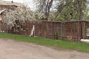 Деревянный забор на металлических столбах своими руками: пошаговая инструкция + фото