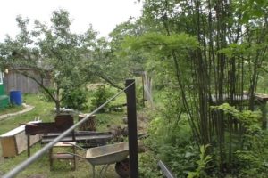 Деревянный забор на металлических столбах своими руками: пошаговая инструкция + фото