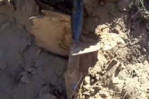 Деревянный забор на металлических столбах своими руками: пошаговая инструкция + фото