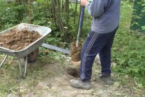 Деревянный забор на металлических столбах своими руками: пошаговая инструкция + фото