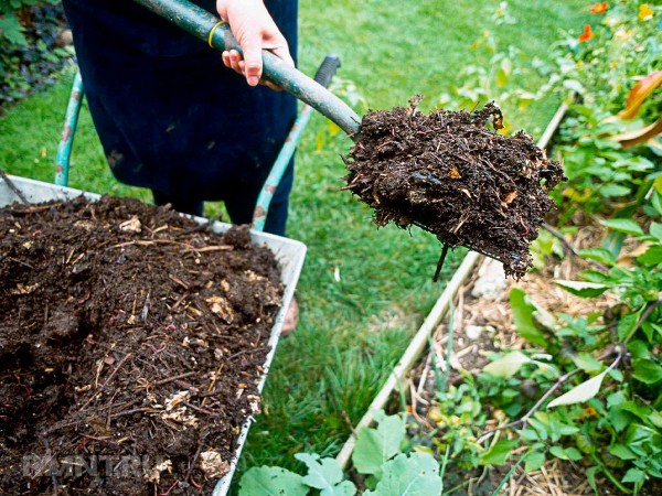 





Что такое регенеративное садоводство и огородничество



