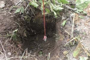 Деревянный забор на металлических столбах своими руками: пошаговая инструкция + фото