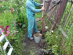 Как построить забор из профлиста своими руками: пошаговая инструкция и важные нюансы