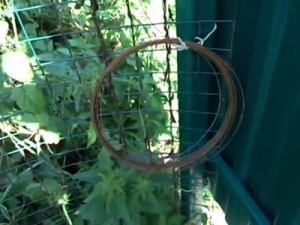 Как построить забор из профлиста своими руками: пошаговая инструкция и важные нюансы