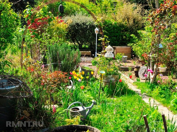 Что такое «хаотичный» сад и почему он не останется в тренде
Что такое «хаотичный» сад и почему он не останется в тренде