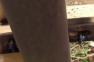 Деревянный забор на металлических столбах своими руками: пошаговая инструкция + фото