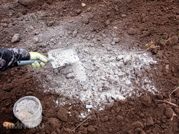 





Правила использования древесной золы на участке



