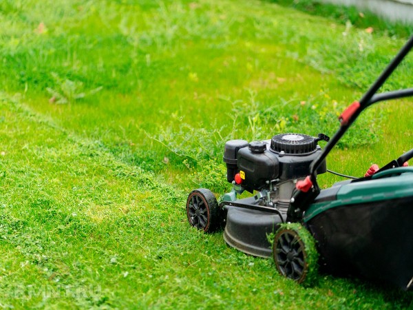 Правила стрижки нового рулонного газона
Правила стрижки нового рулонного газона