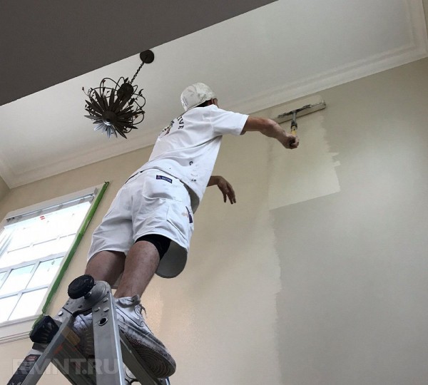 В чём разница между краской для стен и потолка
В чём разница между краской для стен и потолка