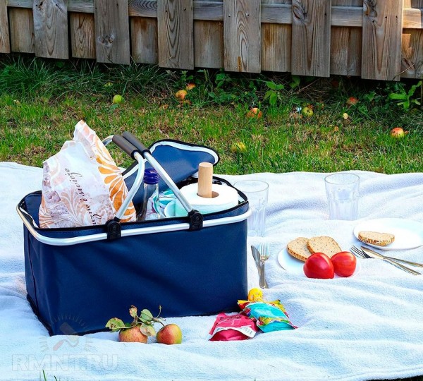 Пять составляющих идеального пикника
Пять составляющих идеального пикника