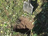 Бетонирование столбов для забора: устанавливаем забор правильно Бетонирование столбов для забора: устанавливаем забор правильно