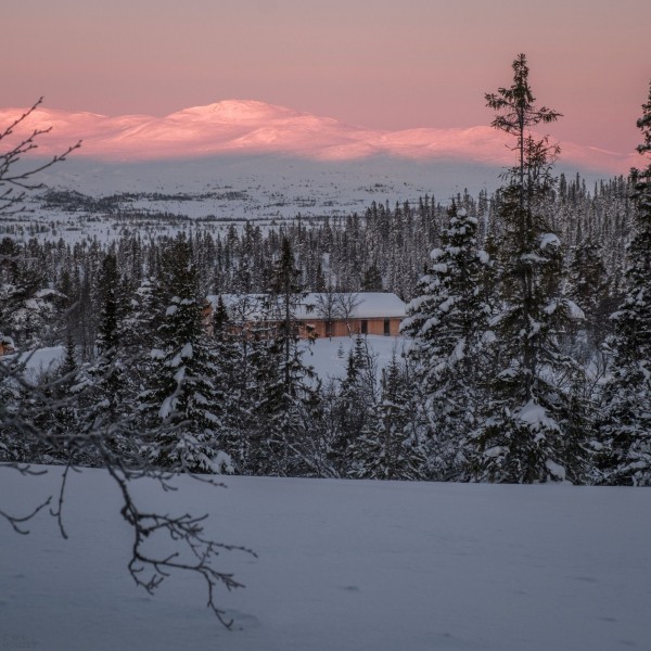 Скандинавская деревянная хижина в дикой природе Скандинавская деревянная хижина в дикой природе