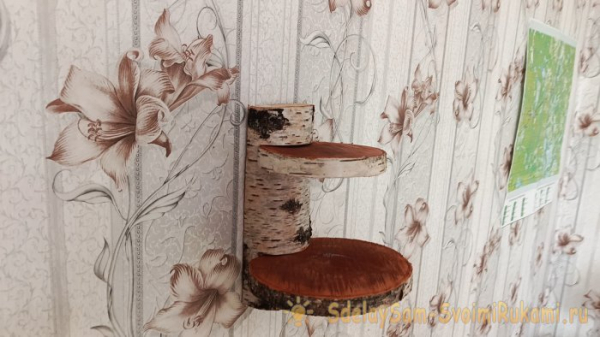 Как сделать декоративную полку из спилов Как сделать декоративную полку из спилов