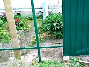 Как построить забор из профлиста своими руками: пошаговая инструкция и важные нюансы