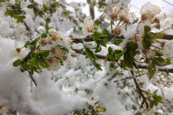 В какое время лучше всего строить дом: выбираем лучший сезон для строительства В какое время лучше всего строить дом: выбираем лучший сезон для строительства