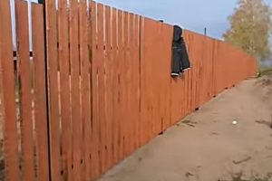 Деревянный забор на металлических столбах своими руками: пошаговая инструкция + фото