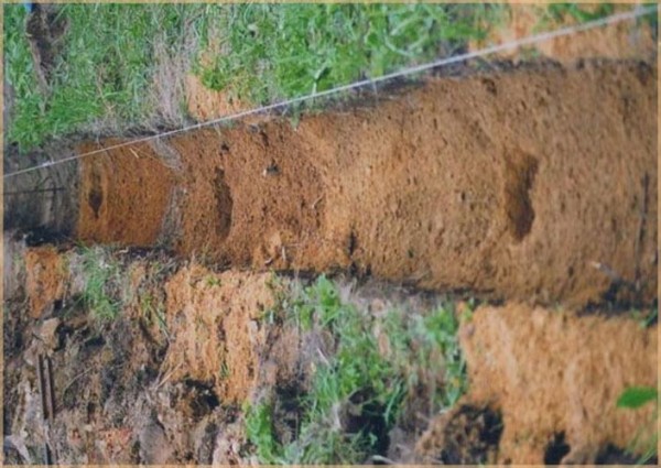 Кованый забор своими руками: пошаговое руководство