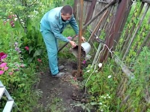 Как построить забор из профлиста своими руками: пошаговая инструкция и важные нюансы