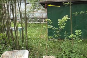 Деревянный забор на металлических столбах своими руками: пошаговая инструкция + фото