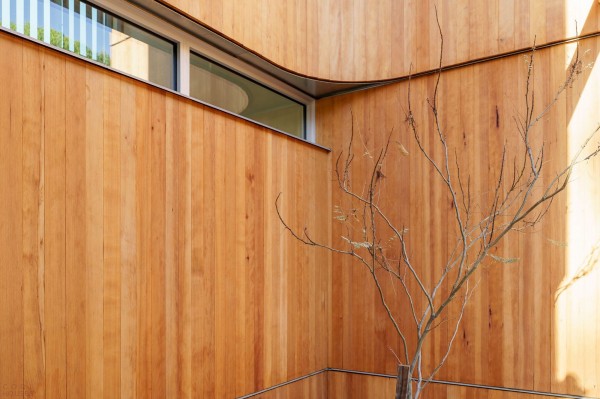 Дом с изогнутыми архитектурными элементами Дом с изогнутыми архитектурными элементами