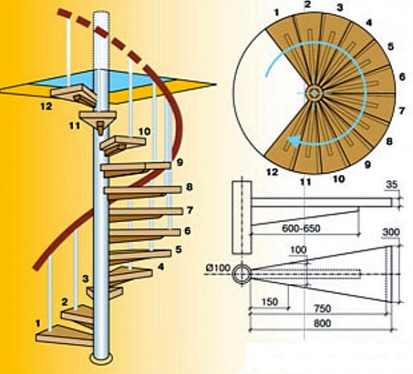 Лестница в погреб своими руками: выбор конструкции и пошаговая инструкция по изготовлению