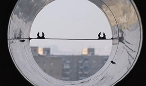 Вентиляция в частном доме: схема и монтаж Вентиляция в частном доме: схема и монтаж