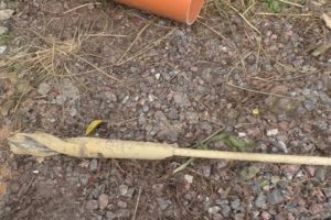 Деревянный забор на металлических столбах своими руками: пошаговая инструкция + фото