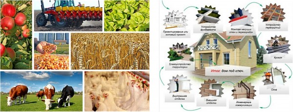 В какое время лучше всего строить дом: выбираем лучший сезон для строительства В какое время лучше всего строить дом: выбираем лучший сезон для строительства