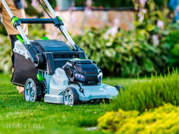 Правила стрижки нового рулонного газона
Правила стрижки нового рулонного газона