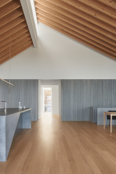 Экологичный дизайн прибрежного дома Экологичный дизайн прибрежного дома