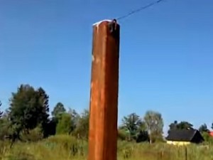 Как построить забор из профлиста своими руками: пошаговая инструкция и важные нюансы