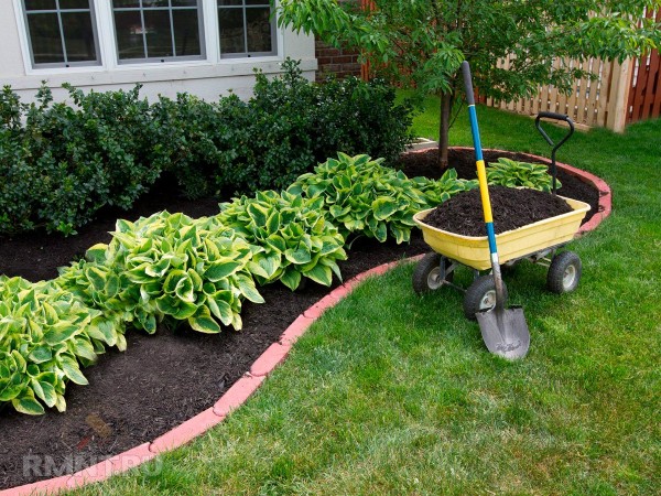 





Что такое регенеративное садоводство и огородничество



