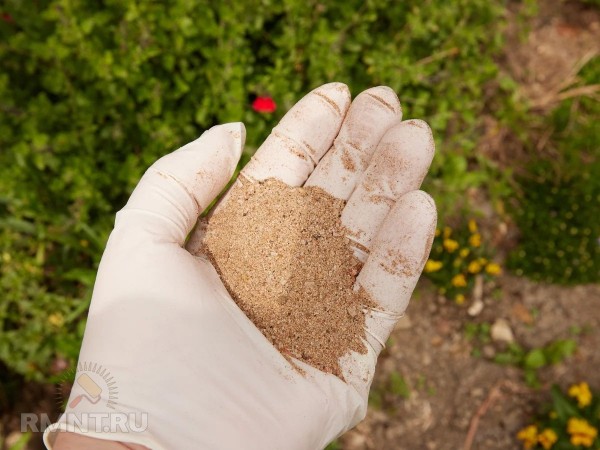 Что такое рыбное удобрение, плюсы и минусы его использования
Что такое рыбное удобрение, плюсы и минусы его использования