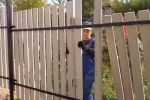 Деревянный забор на металлических столбах своими руками: пошаговая инструкция + фото