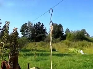 Как построить забор из профлиста своими руками: пошаговая инструкция и важные нюансы