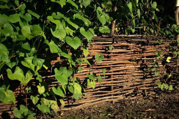 Плетеный забор своими руками: делаем из досок и веток с пошаговой инструкцией