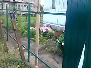 Как построить забор из профлиста своими руками: пошаговая инструкция и важные нюансы