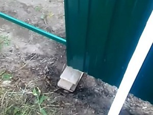 Как построить забор из профлиста своими руками: пошаговая инструкция и важные нюансы