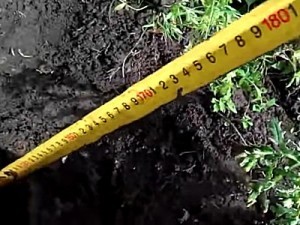 Как построить забор из профлиста своими руками: пошаговая инструкция и важные нюансы