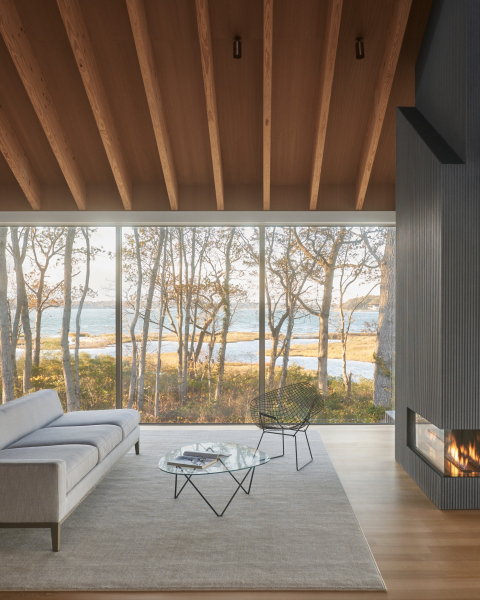 Экологичный дизайн прибрежного дома Экологичный дизайн прибрежного дома