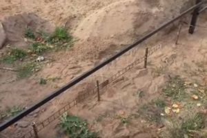 Деревянный забор на металлических столбах своими руками: пошаговая инструкция + фото