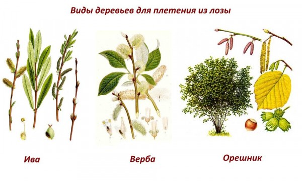 Плетеный забор своими руками: делаем из досок и веток с пошаговой инструкцией