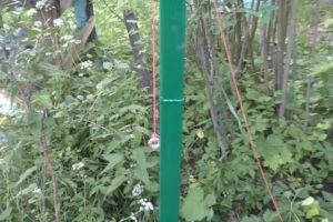 Деревянный забор на металлических столбах своими руками: пошаговая инструкция + фото